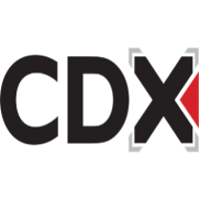 CDX Automotive